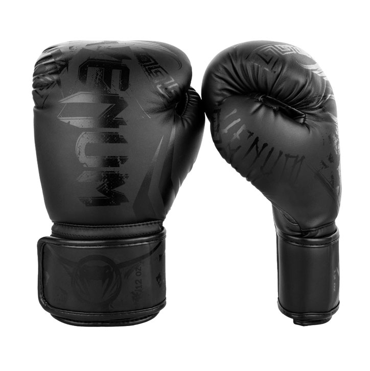 Boxerské rukavice Venum Gladiator 3.0 čierno/čierne